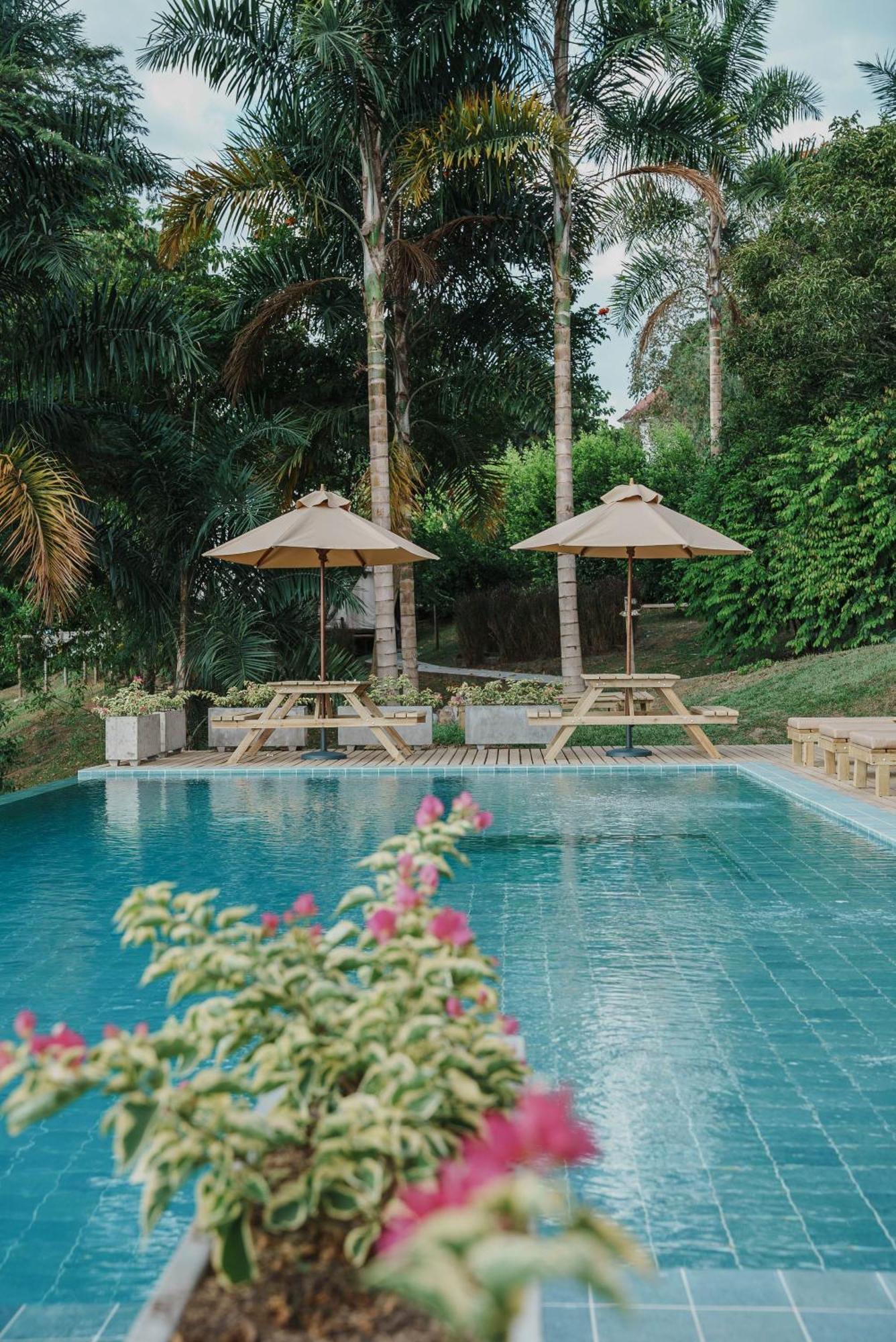 Glamping Entre Rios Hotel Calarca Ngoại thất bức ảnh