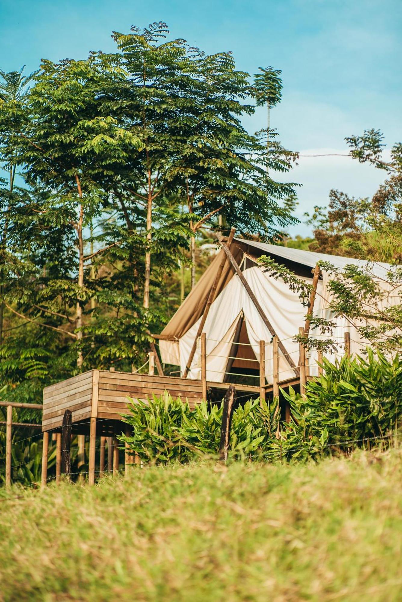 Glamping Entre Rios Hotel Calarca Ngoại thất bức ảnh